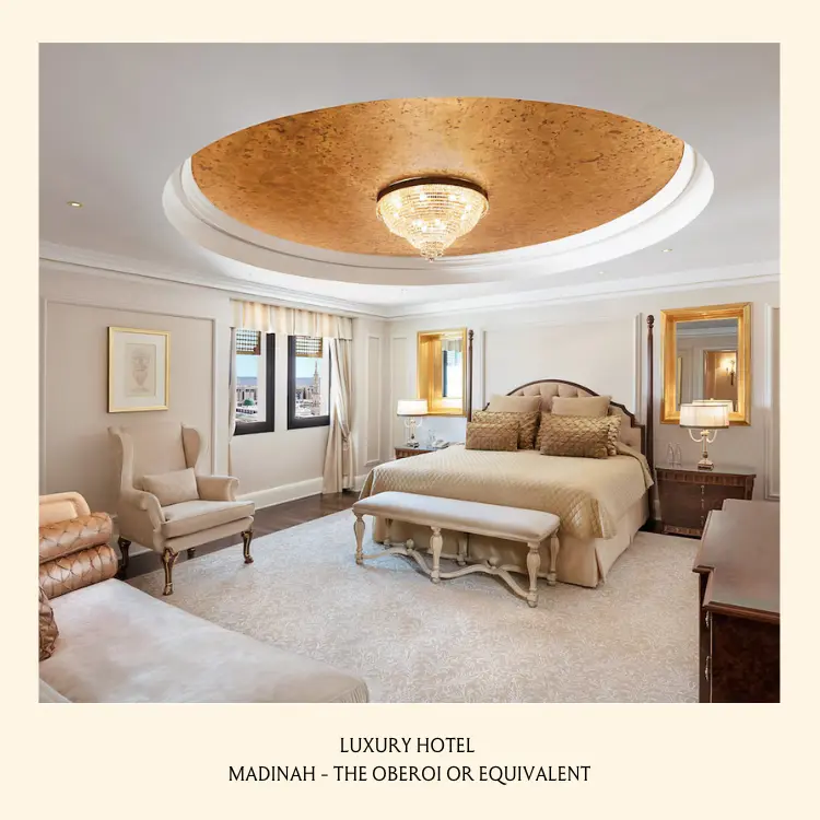 SUIS - LUXURY (10).webp